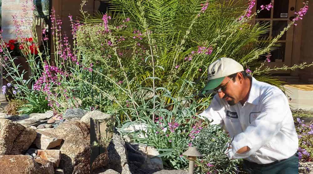 Landscape Maintenance Services image