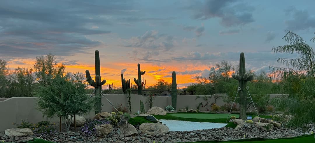 Desert landscape with cacti at sunset, featuring rocks and greenery under a colorful sky.