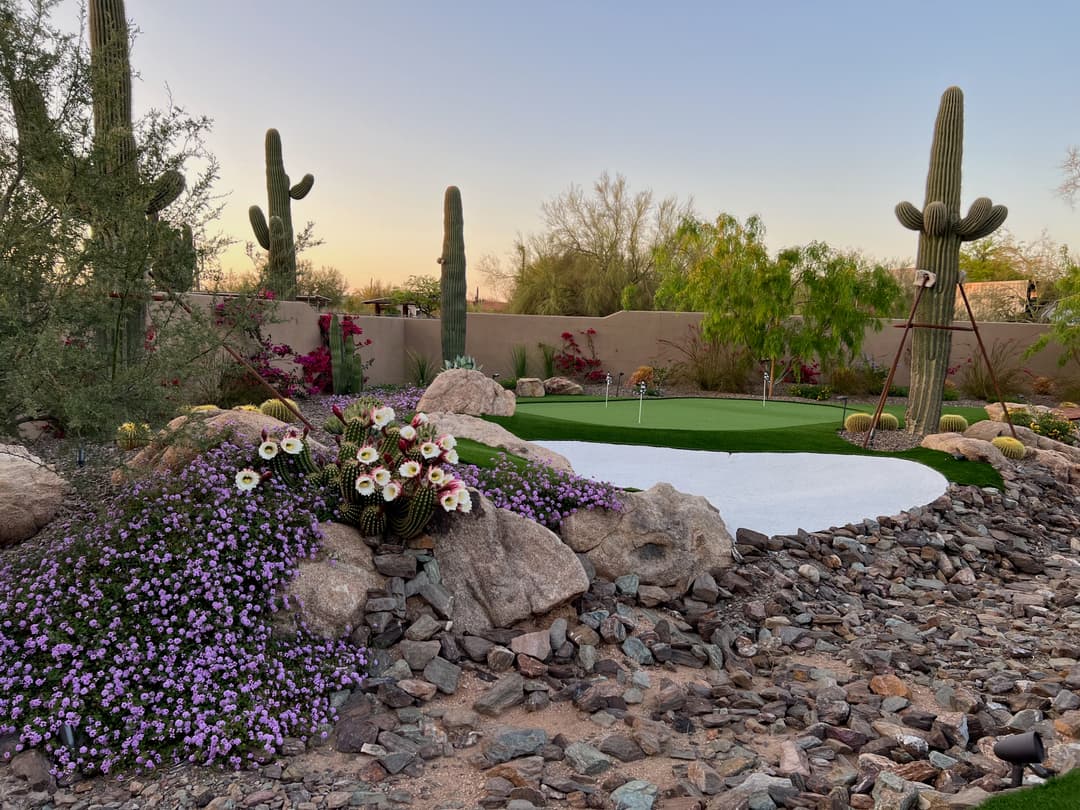 Desert landscape with cactus, colorful flowers, and a putting green at sunset.