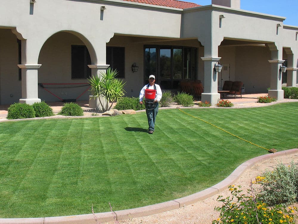 Artificial Turf Installation Services image