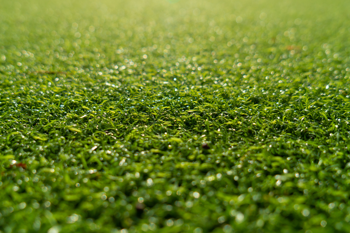 How Long Does Artificial Turf Last